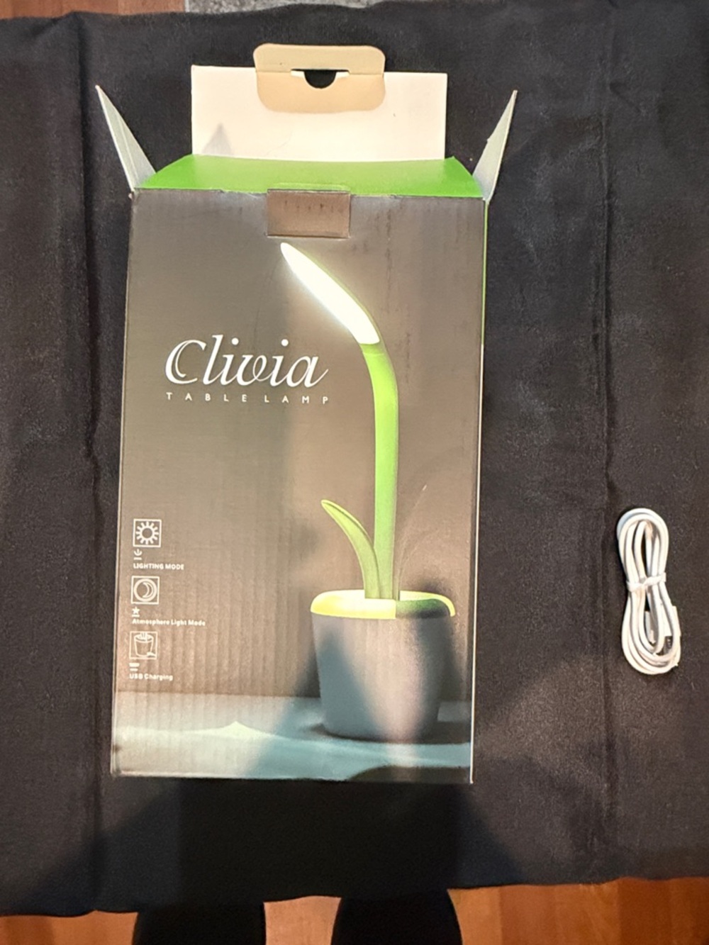 Green Table Lamp - LED Desk Lamp